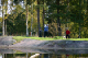 IMG_0286_edited-1.jpg